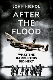 What the Dambusters Did Next series tv