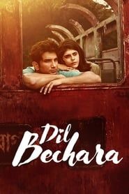 Dil Bechara series tv