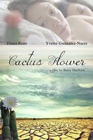 Cactus Flower series tv