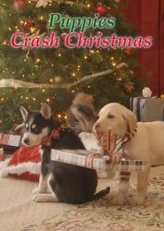 Image Streaming Wonderland: Puppies Crash Christmas