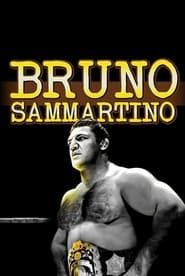 Bruno Sammartino series tv