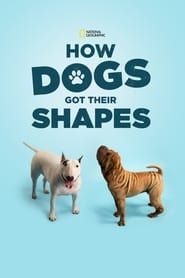 Image How Dogs Got Their Shapes