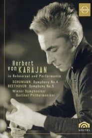 Image Karajan in Rehearsal