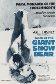 Snow Bear series tv