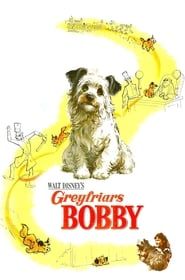 Bobby des Greyfriars 1961 streaming