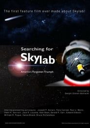 Searching for Skylab, America