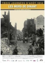 Image Trois journées d'août 1914, les murs de Dinant