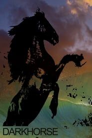 Affiche de Darkhorse The Bro Tape