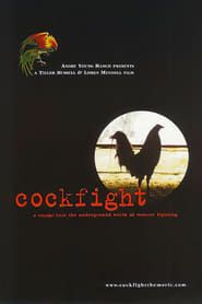 Cockfight 2001 streaming