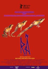 Frogs (2019)
