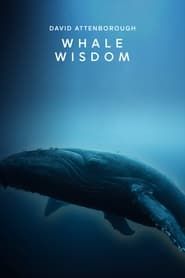 Whale Wisdom series tv