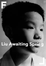 Liu Awaiting Spring series tv