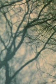 In A Tree’s Shadow II series tv