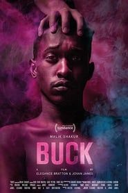 Buck 2020 streaming