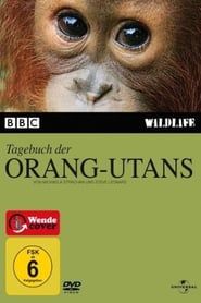 Tagebuch der Orang-Utans series tv