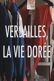 Versailles la vie dorée series tv