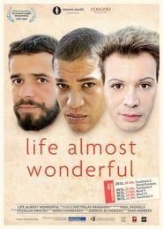 Life Almost Wonderful series tv