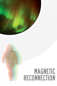 Magnetic Reconnection 2012 streaming