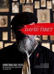 Who is David Tibet?