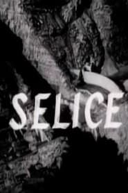 Selice (1965)