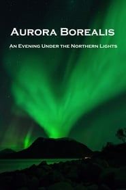 Image Aurora Borealis: An Evening under the Northern Lights 2016