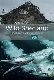 Wild Shetland: Scotland's Viking Frontier 2019 streaming