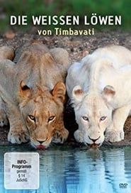 Die Weißen Löwen von Timbavati-hd