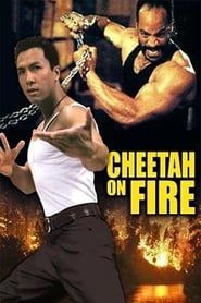Cheetah On Fire-hd