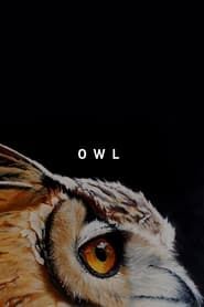 Image Owl