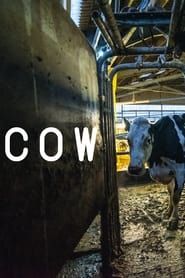 Cow series tv