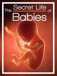 The Secret Life of Babies series tv