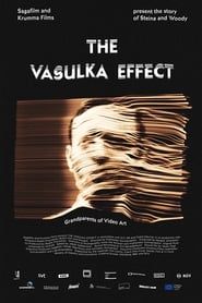 Image The Vasulka Effect