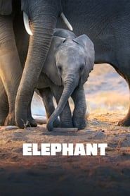 Elephant series tv