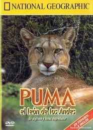 Image Puma: Lion of the Andes