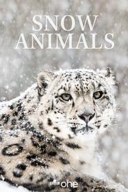 Snow Animals series tv
