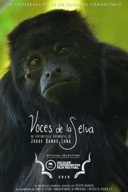 Rainforest Voices series tv