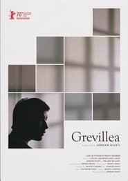 Grevillea (2020)