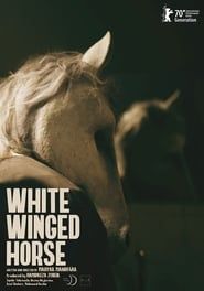 White Winged Horse series tv