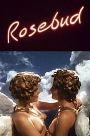 Rosebud series tv