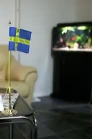 Sverigedemokraterna - vägen till riksdagen series tv