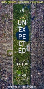 An Unexpected State of Mind series tv