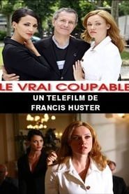 Le vrai coupable 2007 streaming