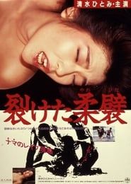 裂けた柔襞 (1987)