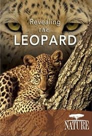 Image Revealing the Leopard