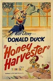 Le Miel de Donald (1949)