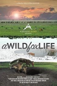 A Wild Fox Life series tv