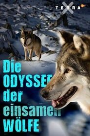 Die Odyssee der einsamen Wölfe series tv