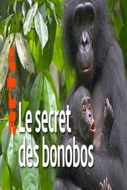 Image La vie cachée des bonobos 2019