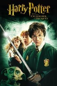 Harry Potter and the Chamber of Secrets series tv
