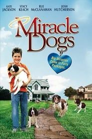 Miracle Dogs series tv